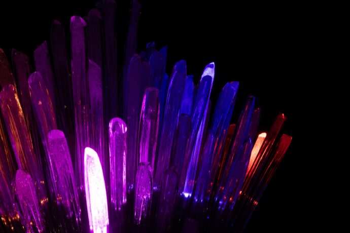 Unikátní výstava Křišťálová zahrada ve spolupráci se sklářem Jiřím Pačinkem. Foto: ©Botanická zahrada Praha