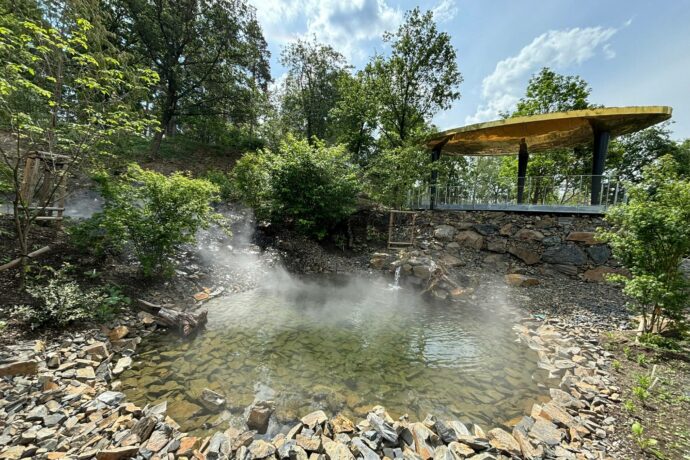 Japonské mlžné lesy. Foto: ©Botanická zahrada Praha