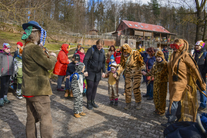 Masopust. Foto: ©Zoo Jihlava