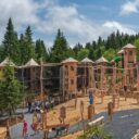 Království lesa. Foto: ©Bachledka