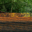 Bezručovo údolí. Foto: ©Chomutov