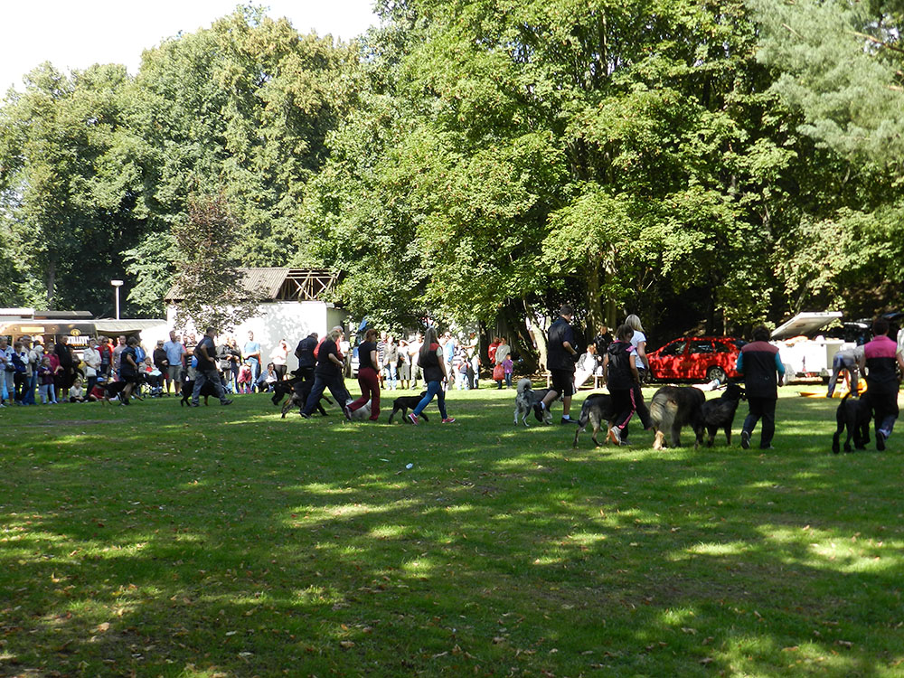 Tradiční výstava Člověk v přírodě přinese pár novinek