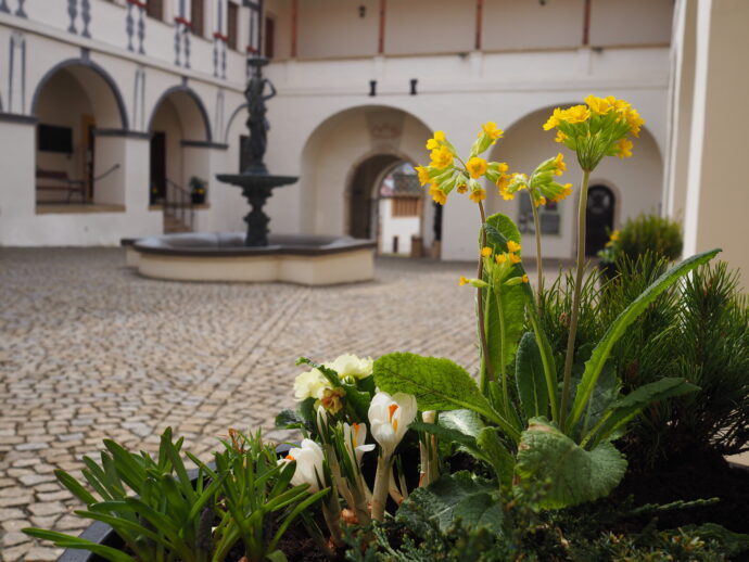 Foto: ©Muzeum Blanenska 