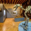 Foto: ©Muzeum Blanenska