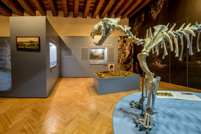 Přírodovědná expozice. Foto: ©Muzeum Blanenska 