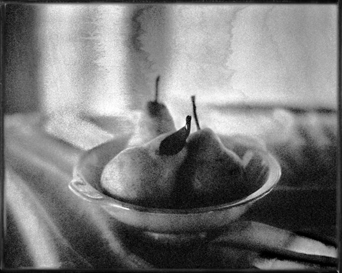 Hrušky, Praha 2004. Foto: ©Robert Vano