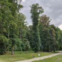 Foto: ©Zámecký park Petrohrad