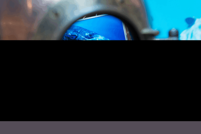 Obři oceánů. Foto: ©Shake Exhibitions