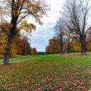 Foto: ©Zámecký park Petrohrad