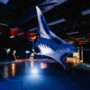 Obři oceánů. Foto: ©Shake Exhibitions