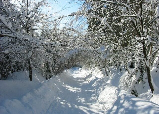 Bedřichov v Jizerských horách