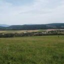 Borovnice