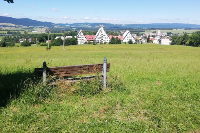 Fotografie na špice v Králíkách.