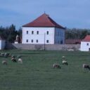Křepenice