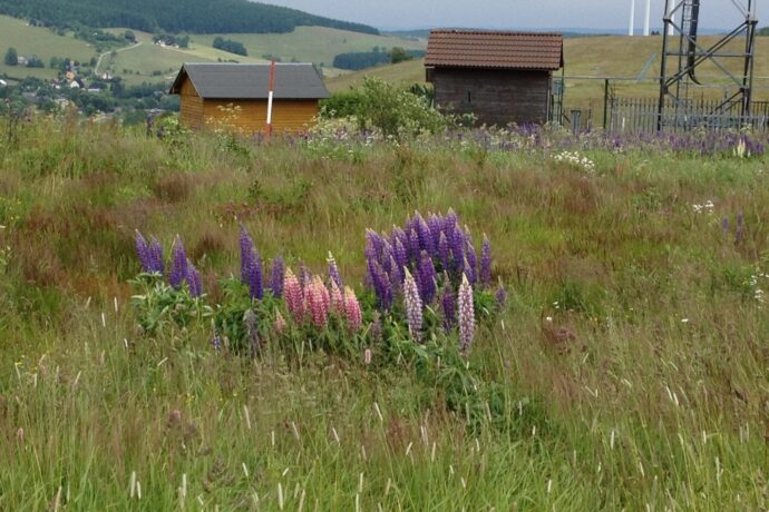 Loučná pod Klínovcem