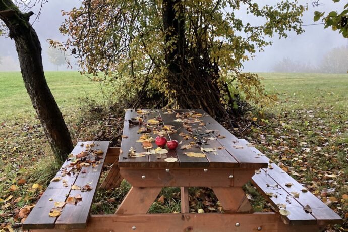 Plavy, Hana Kohoutová Místo k rozjímání u Plav