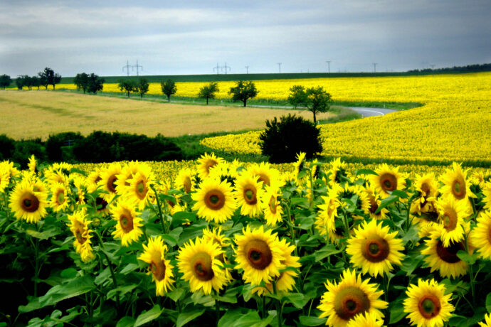 Kroměříž a okolí