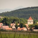Vinařice