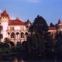 Žinkovy