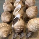 Foto: © Oblastní muzeum v Lounech